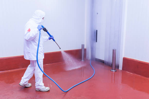 Best Dumpster Area Cleaning  in Woodbury, TN