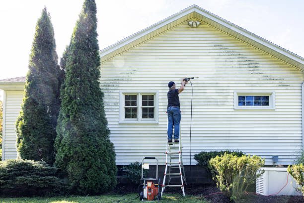 Best Gutter Cleaning  in Woodbury, TN